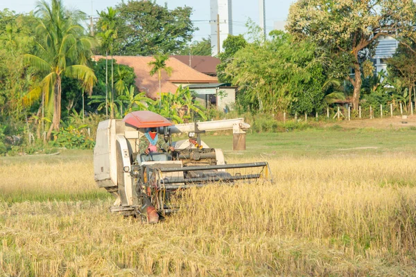 NAKHON PHANOM, TAILÂNDIA - NOV 18, 2018: Trabalhos de máquinas de colheitadeira — Fotografia de Stock