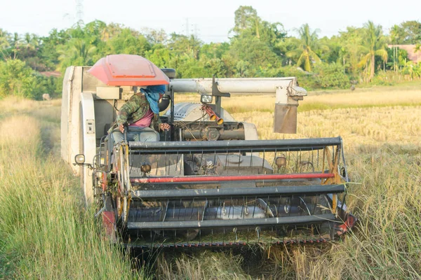 Colheitadeira máquina de trabalho colheita de arroz no campo — Fotografia de Stock