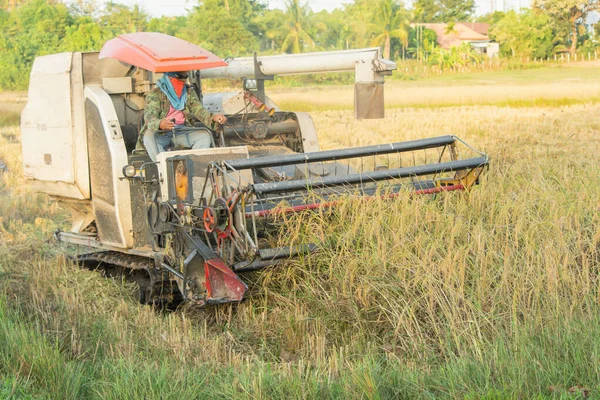 NAKHON PHANOM, TAILÂNDIA - NOV 18, 2018: Trabalhos de máquinas de colheitadeira — Fotografia de Stock