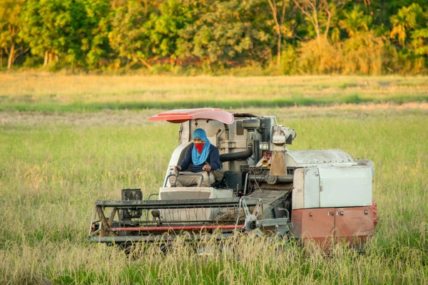 NAKHON PHANOM, TAILÂNDIA - NOV 18, 2018: Trabalhos de máquinas de colheitadeira — Fotografia de Stock