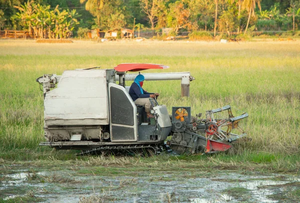 NAKHON PHANOM, TAILANDIA - 18 DE NOV DE 2018: Máquina segador worki —  Fotos de Stock