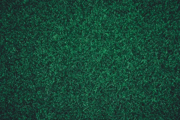 Fondo de textura de hierba verde. naturaleza oscuro tono verde backgroun —  Fotos de Stock