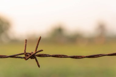 Kopya alanı ile bulanık doğa arka planına sahip dikenli tel