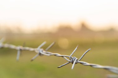 Kopya alanı ile bulanık doğa arka planına sahip dikenli tel
