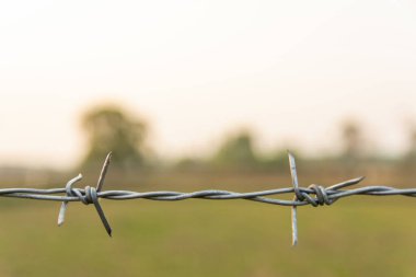 Kopya alanı ile bulanık doğa arka planına sahip dikenli tel