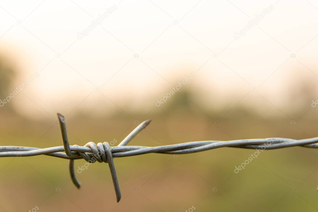 Barbed wire with blur nature background with copy space