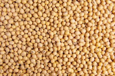 Arka plan olarak soya desen