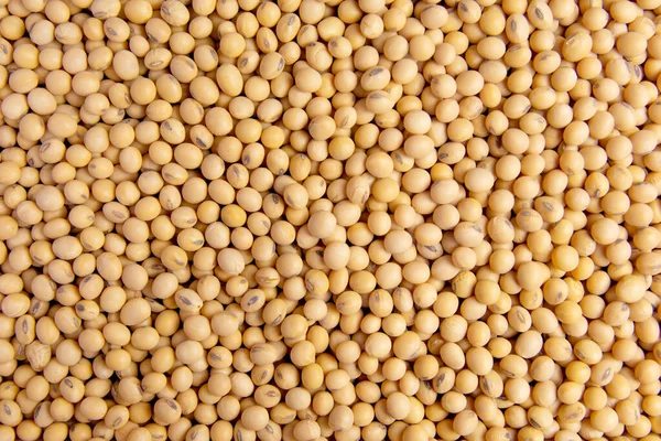 Soybean pattern as background — Stock Photo, Image