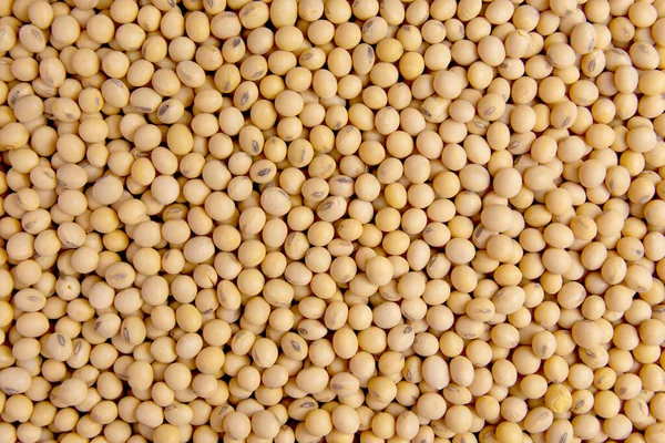 Soybean pattern as background — Stock Photo, Image