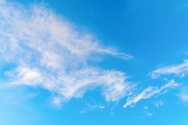 Mavi gökyüzü arka planında sirus bulutları.