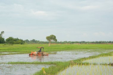 Traktör çiftlikte çiftlikte tarla sürüyor.