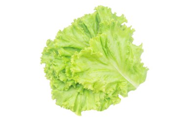 Salad leaf. Lettuce isolated on white background with clipping p clipart