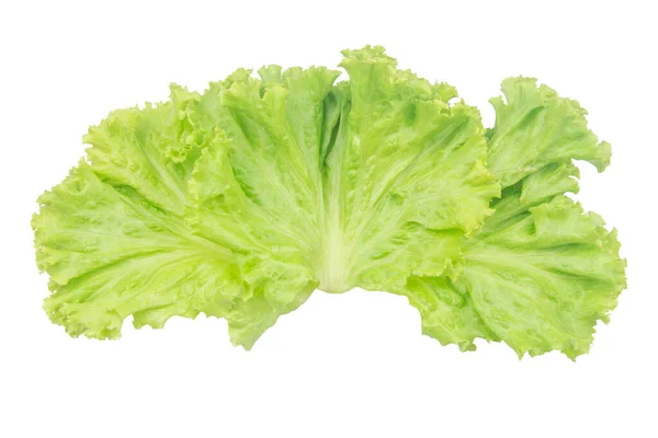 沙拉叶。在白色背景上隔离的 Lettuce，带剪切 p — 图库照片