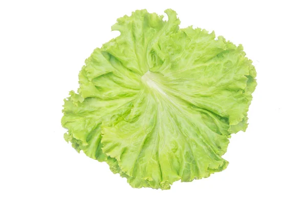 Salade blad. Sla geïsoleerd op witte achtergrond met knippen p — Stockfoto