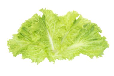 Salata yaprağı. Marul p kırpma ile beyaz arka plan üzerinde izole