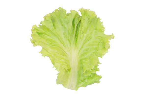 Salad leaf. Lettuce isolated on white background with clipping p — Stock Photo, Image