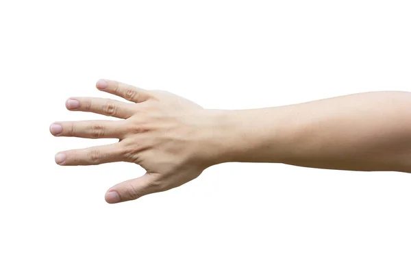Χέρι ανθρώπου απομονωμένο σε λευκό φόντο με μονοπάτι απόληξης — Φωτογραφία Αρχείου