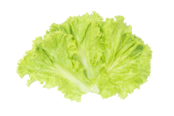 Hoja de ensalada. Lechuga aislada sobre fondo blanco con recorte p — Foto de Stock