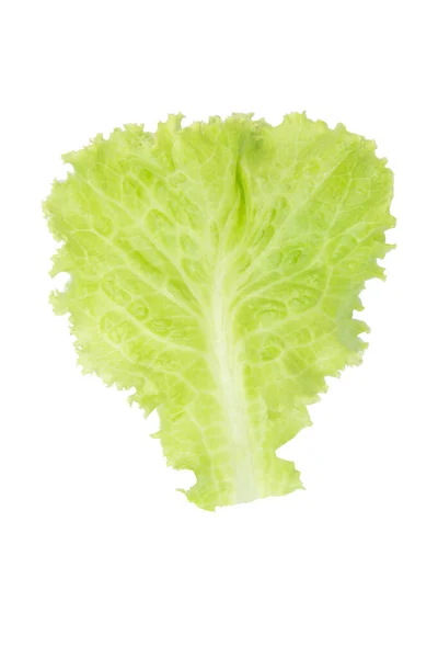 Salad leaf. Lettuce isolated on white background with clipping p — Stock Photo, Image