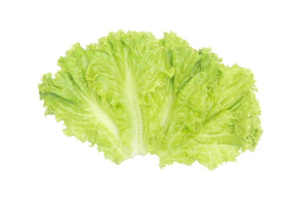 沙拉叶。在白色背景上隔离的 Lettuce，带剪切 p — 图库照片