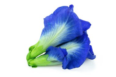 Kelebek bezelyesi, mavi bezelye, beyaz arka planda klippi ile izole edilmiş.