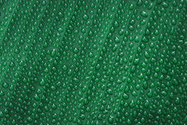 Muz yaprağına su damlaları düşer.