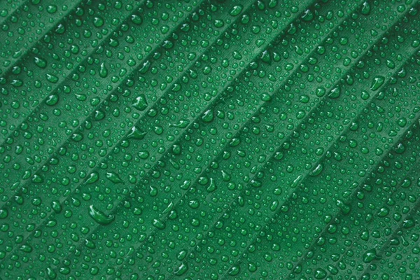 Water drops on banana leaf backgroun — Stock Photo, Image