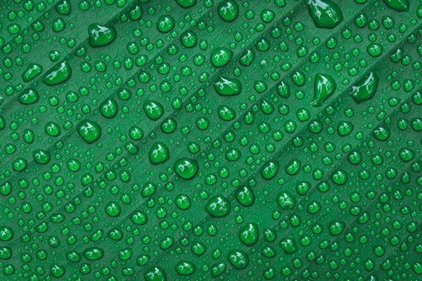 Gotas de água no fundo da folha de banana — Fotografia de Stock