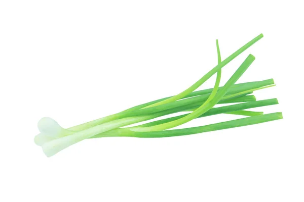 Cipolla verde isolata su sfondo bianco con clipping pat — Foto Stock