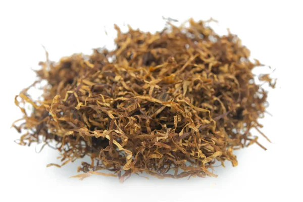 Сухой табачный лист, выделенный на белой спине — стоковое фото