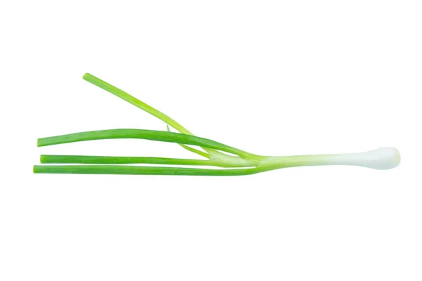 Zielona cebula izolowana na białym tle z klipsem — Zdjęcie stockowe