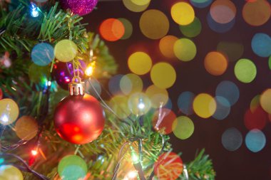 Noel süsü. Çam dallarına kırmızı toplar asmak Noel 'de