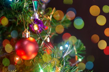 Noel süsü. Çam dallarına kırmızı toplar asmak Noel 'de