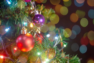 Noel süsü. Çam dallarına kırmızı toplar asmak Noel 'de