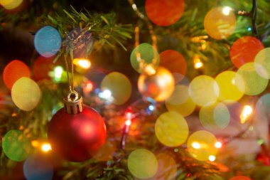 Noel süsü. Çam dallarına kırmızı toplar asmak Noel 'de