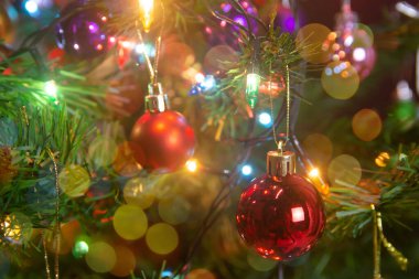 Noel süsü. Çam dallarına kırmızı toplar asmak Noel 'de