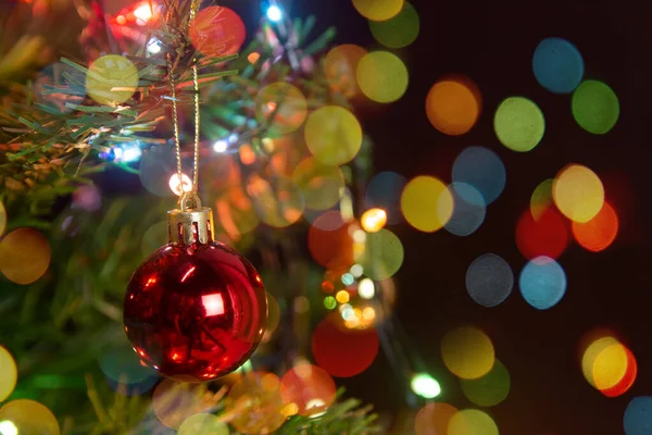圣诞装饰。 松枝上挂着红球 — 图库照片