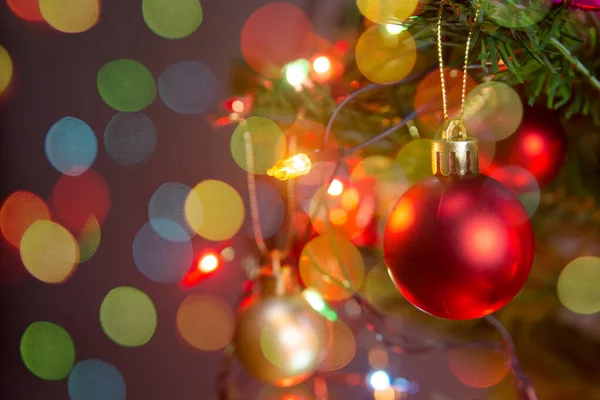 Vánoční ozdoba. Visící červené koule na borovicových větvích Christm Stock Obrázky