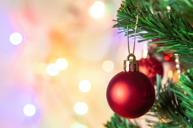 Noel süsü. Çam dallarına kırmızı toplar asmak Noel 'de