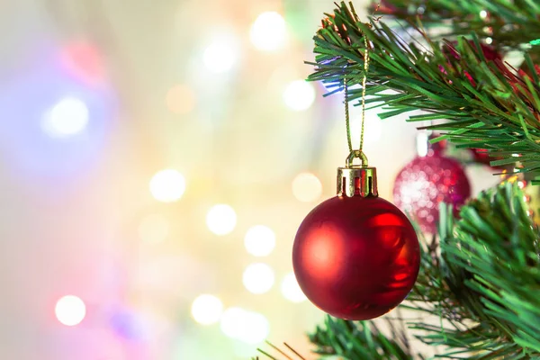 Noel süsü. Çam dallarına kırmızı toplar asmak Noel 'de