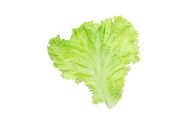 Salad leaf. Lettuce isolated on white background with clipping p — Stock Photo, Image