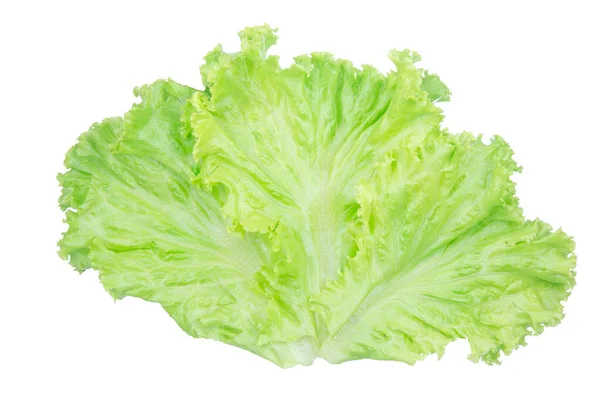 Hoja de ensalada. Lechuga aislada sobre fondo blanco con recorte p — Foto de Stock