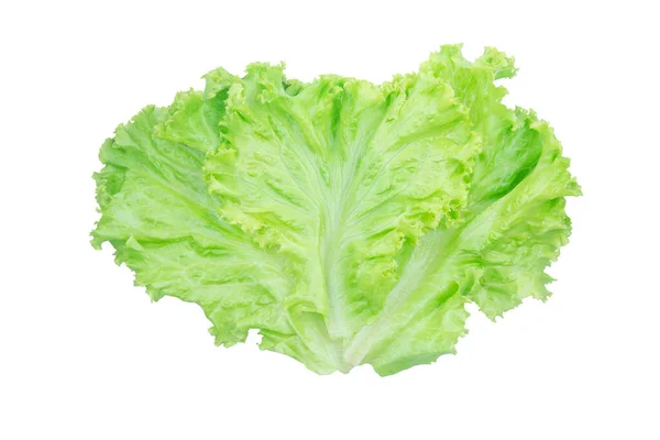 Салатный лист. Салат изолированы на белом фоне с обрезкой п — стоковое фото