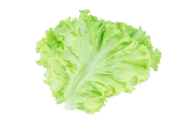 沙拉叶。在白色背景上隔离的 Lettuce，带剪切 p — 图库照片