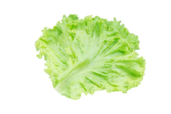 Salatblatt vorhanden. Salat isoliert auf weißem Hintergrund mit Clipping p — Stockfoto
