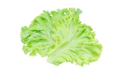 Salata yaprağı. Marul p kırpma ile beyaz arka plan üzerinde izole