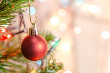 Noel süsü. Çam dallarına kırmızı toplar asmak Noel 'de