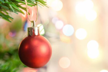 Noel süsü. Çam dallarına kırmızı toplar asmak Noel 'de