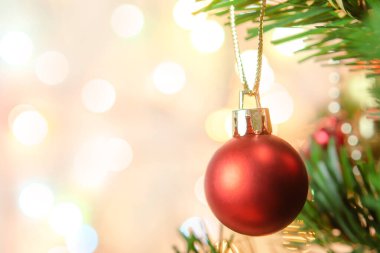 Noel süsü. Çam dallarına kırmızı toplar asmak Noel 'de