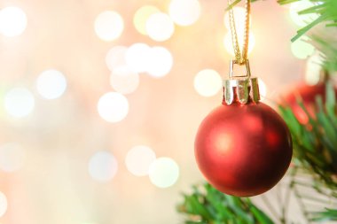 Noel süsü. Çam dallarına kırmızı toplar asmak Noel 'de